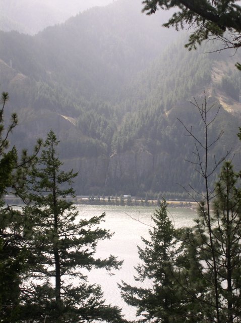 3.24.06 Dog Mountain 010 